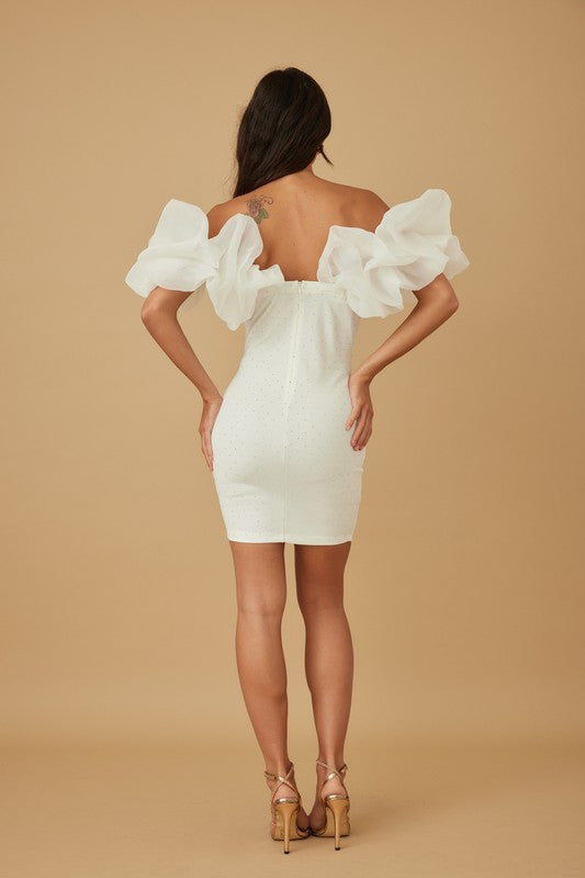 BIG RUFFLE SHOULDER DRESS